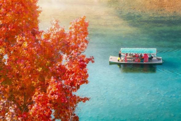 浙江永嘉：楠溪江畔红枫艳 色彩斑斓美如画