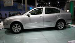 �������ս 4�������м�������ָ���Ա�