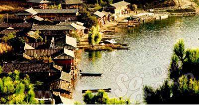 ˮ��Ħ���˵���ӣ��ܶ��أ���������ĸϵ�������ӡ�