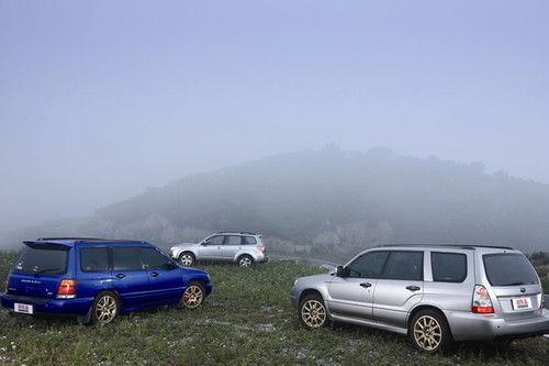 ���н�Զ�Ĺ�·��Ӱ 3��ɭ���˶ԱȲ���