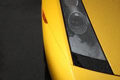 ����ţҲ�༰ �Ա��Լݷ�����/��������