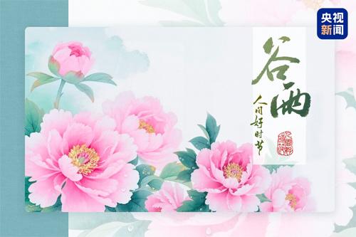 文化中国行·人间好时节丨谷雨：雨润百谷生 牡丹香满园