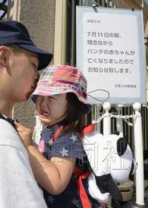 ����è����ز���ձ��οͰ���Ϊ�������ʻ���ͼ��