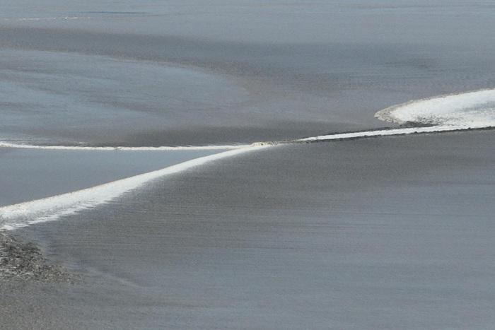 浙江嘉兴：钱塘江大潮形态多变分外壮观