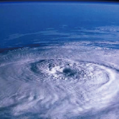 ��ǿ�����ŵ���Ϸ�����ֻ���ҵ�����