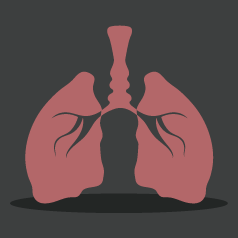 ���������գ�������������Ϸ������������