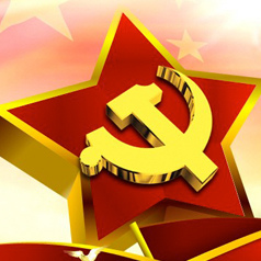 ͼ�⣺2016���й�����������ͳ�ƹ���