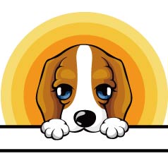 ���������ȷ����