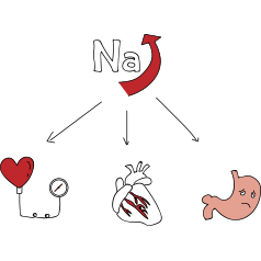 �������������Ǹ���������Ͽ�ѧ����ʵ����