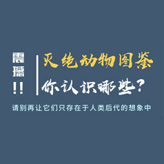 �𺳣��������ͼ��������ʶ��Щ��