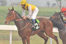 �������˱�������